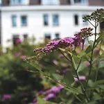 Witte Berken Natuurhotel Hotel 4*