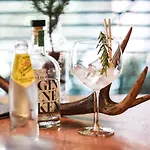 Hotell Witte Berken Natuurhotel