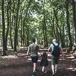 Witte Berken Natuurhotel Epe