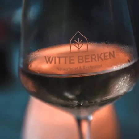 Witte Berken Natuurhotel 4* Epe