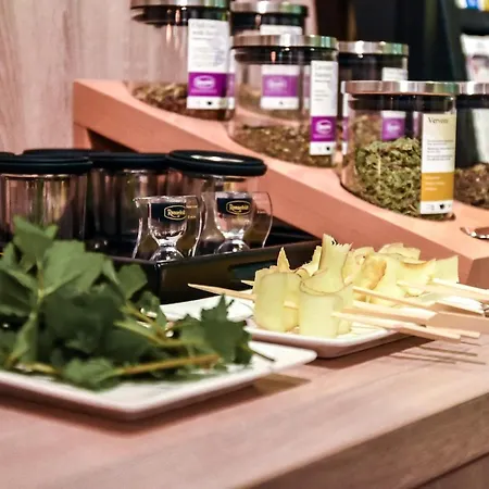 Witte Berken Natuurhotel Эпе