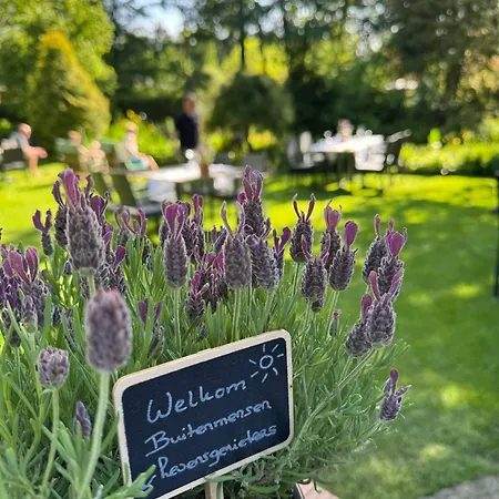 Witte Berken Natuurhotel 4*