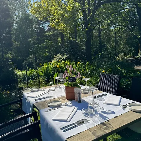 Witte Berken Natuurhotel 4* Эпе