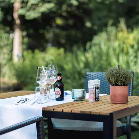 Hotel Witte Berken Natuurhotel Epe