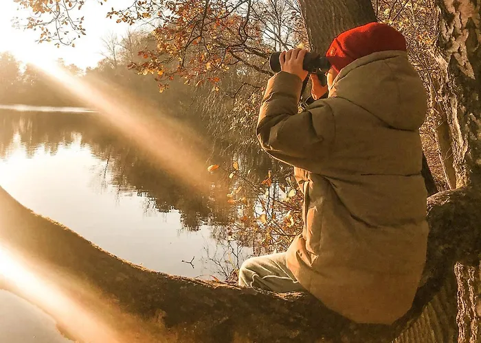 Witte Berken Natuurhotel Szálloda