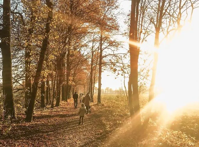 Witte Berken Natuurhotel Hotel 4*