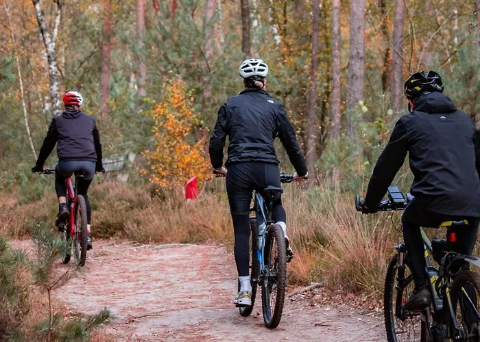 Witte Berken Natuurhotel Szálloda 4*