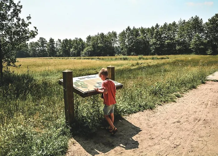 Witte Berken Natuurhotel 4* إبّ