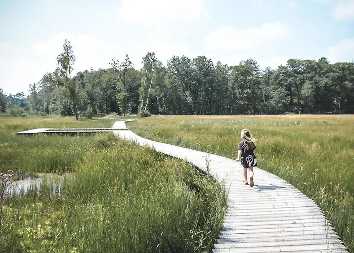 Szálloda Witte Berken Natuurhotel 4*
