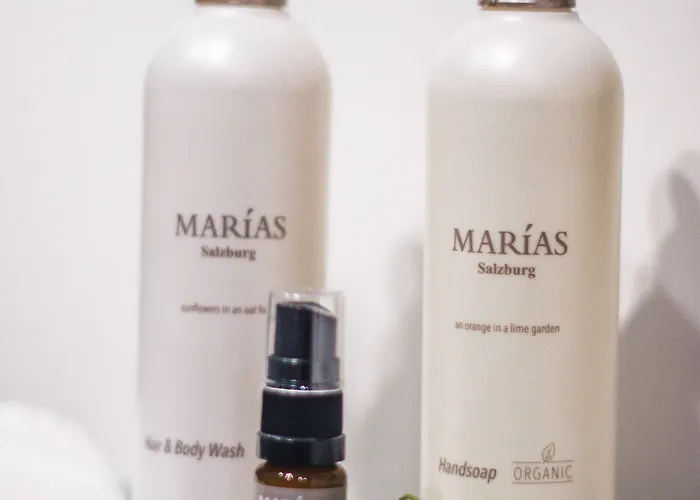 Witte Berken Natuurhotel 4* إبّ