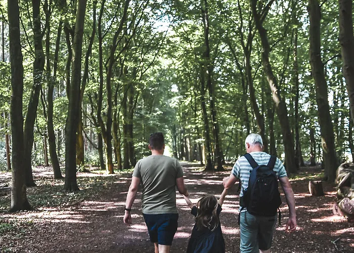 Witte Berken Natuurhotel إبّ