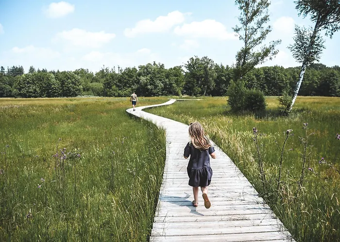 Witte Berken Natuurhotel