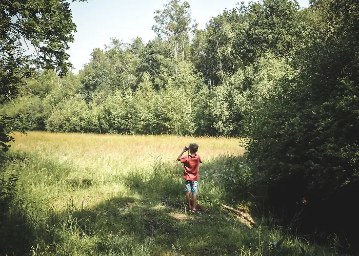 Witte Berken Natuurhotel فندق 4*