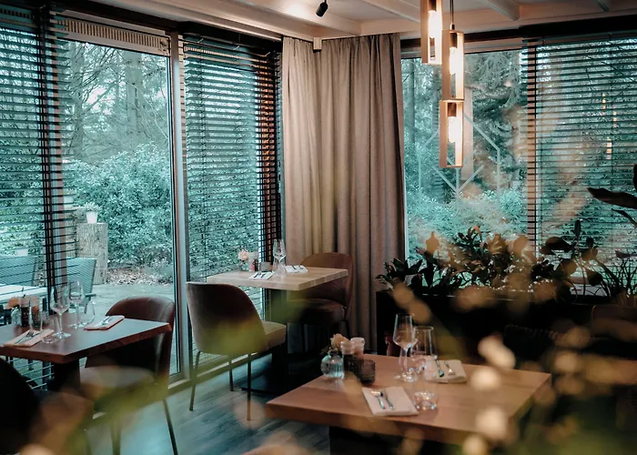 فندق Witte Berken Natuurhotel 4*