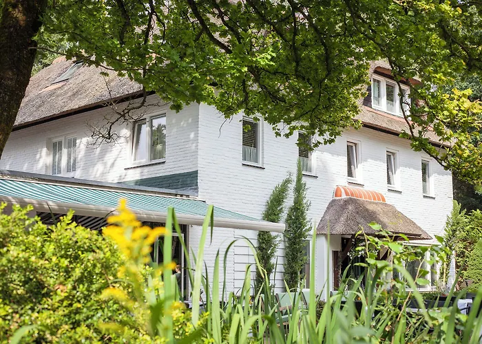 Szálloda Witte Berken Natuurhotel Epe