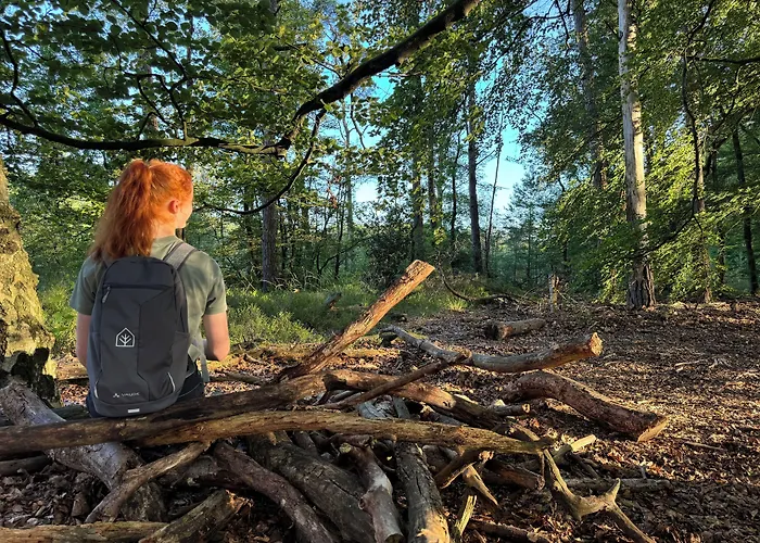 Witte Berken Natuurhotel 4* Epe