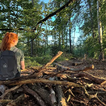 Witte Berken Natuurhotel 4* エーペ