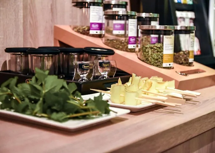 Witte Berken Natuurhotel Epe