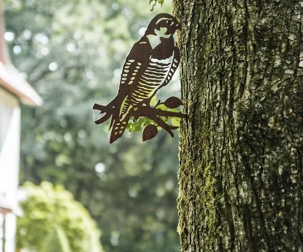 Witte Berken Natuurhotel 4* エーペ