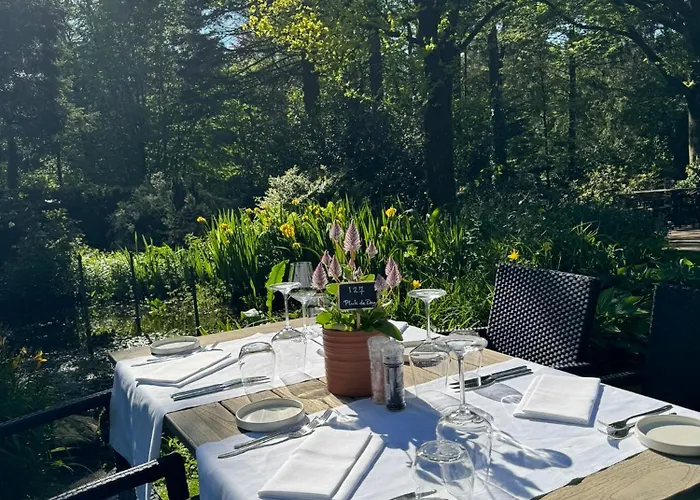 Witte Berken Natuurhotel 4* エーペ