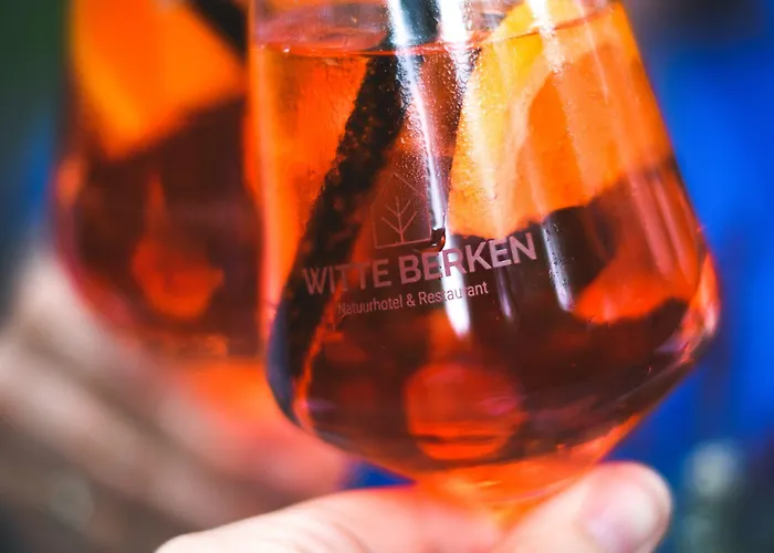 Witte Berken Natuurhotel 4* Epe