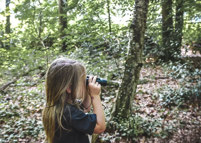 ホテル Witte Berken Natuurhotel 4*